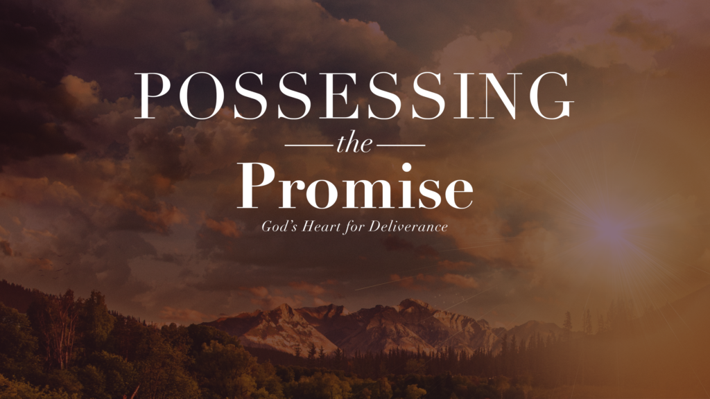 Possessing the Promise